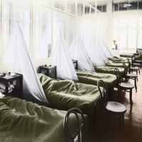 Kiderült, kik voltak a spanyolnátha járvány legelső áldozatai 1918-ban