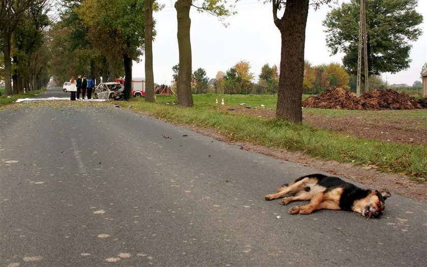 Spalił się w aucie