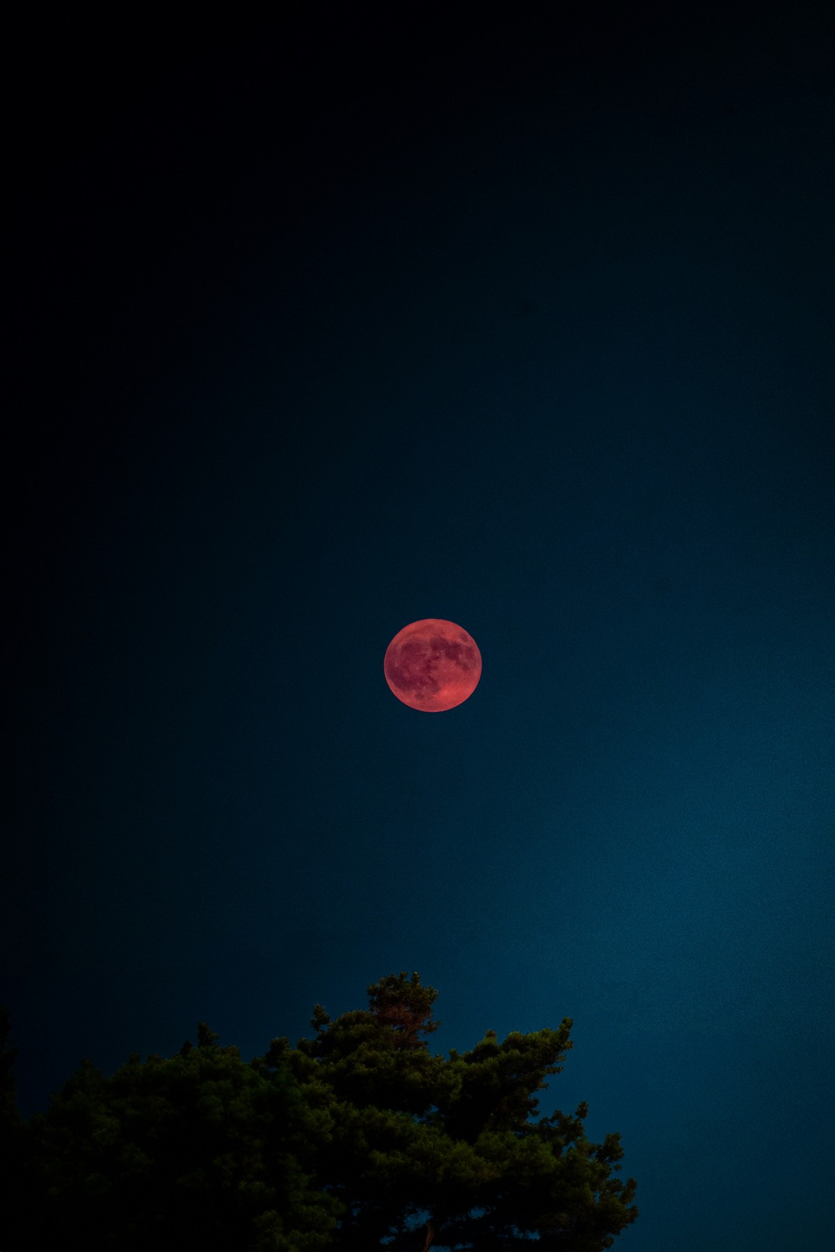 Zachwycające zjawisko na polskim niebie. Pojawia się raz na 18 lat