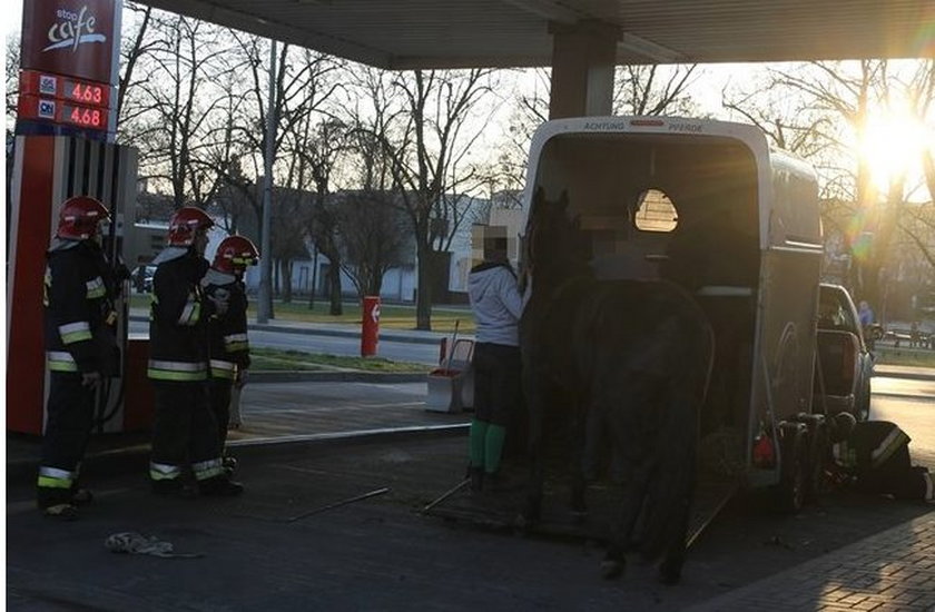 Strażacy uwolnili konia z pułapki