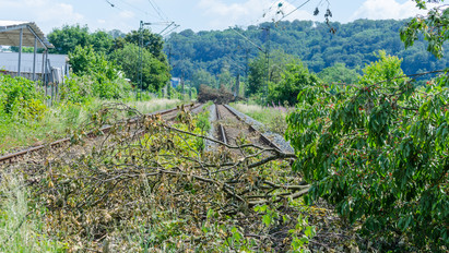 Kidőlt fa akadályozza a vonatközlekedést a Győr-Veszprém vonalon