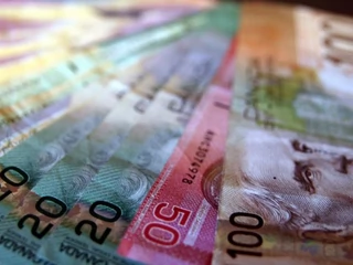 dolary kanadyjskie canada kanada CAD canadian dollars 