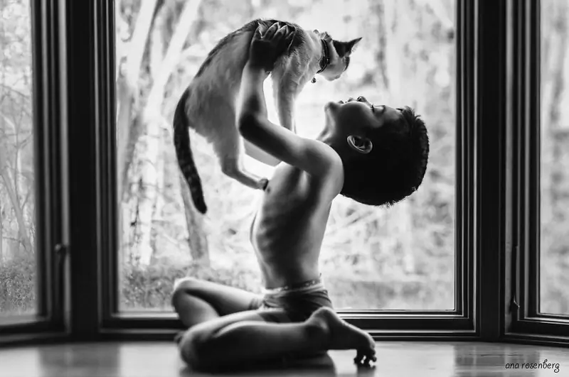 boy-and-his-pets-11__880