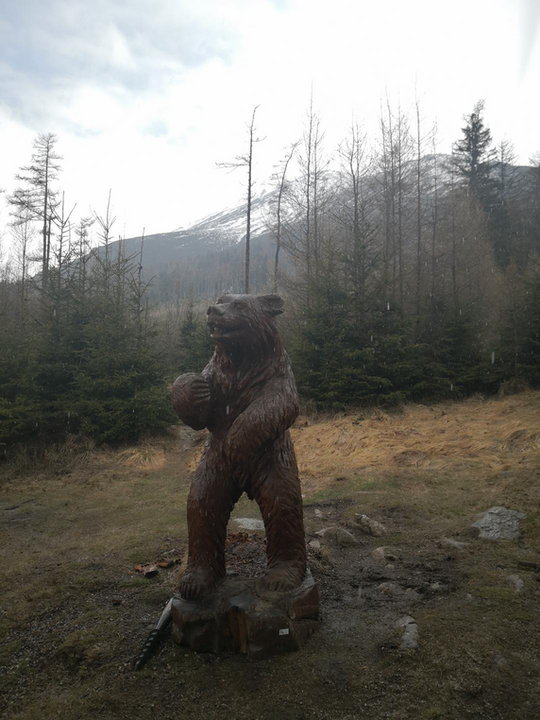 Drewniane rzeźby niedźwiedzi w strefie odpoczynku na Hrebienku
