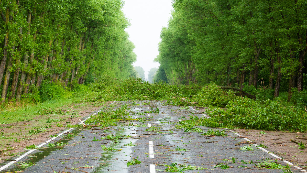 Instytut Meteorologii i Gospodarki Wodnej wydał dziś rano ostrzeżenia pierwszego stopnia przed silnym wiatrem dla południowych powiatów województw: śląskiego, małopolskiego oraz podkarpackiego.