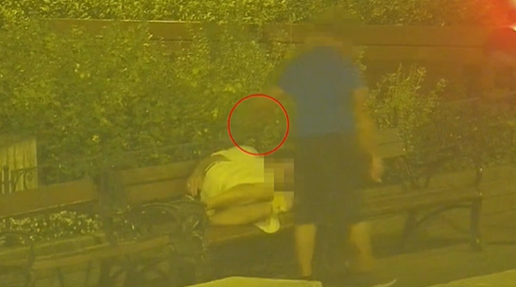 Majd' négy évet kapott a férfi, aki ellopta egy padon alvó ember telefonját Budapesten / Fotó: Magyarország Ügyészsége
