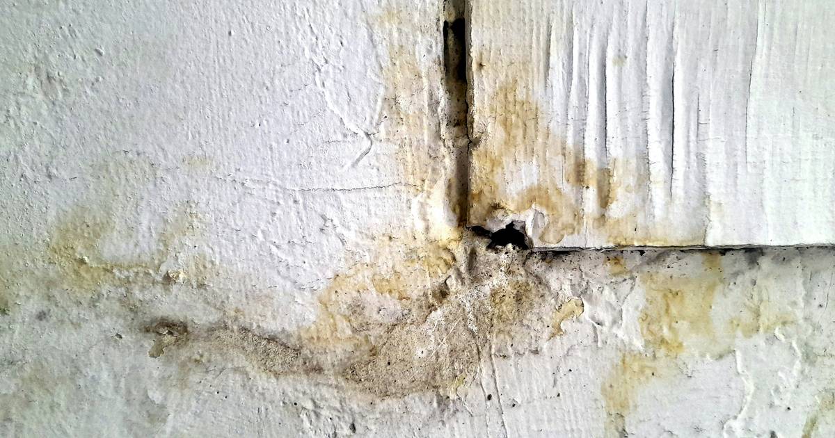 Tak według dewelopera wygląda "inwestycja premium". Mieszkańcy załamani