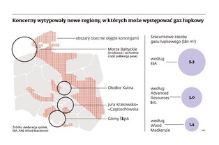 Gaz łupkowy w Polsce: Koncerny wydobywcze rywalizują o kolejne koncesje