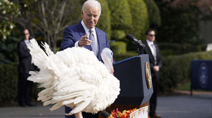 Joe Biden két pulykának kegyelmezett meg idén /Fotó: Northfoto