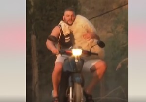 slika koja je osvojila internet