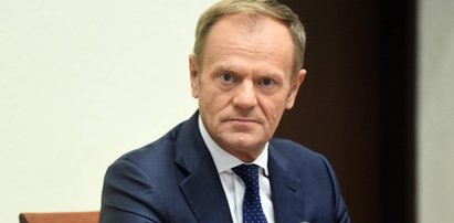 Szokujące wyniki sondażu. Wcale nie chcieli, żeby Tusk wrócił!