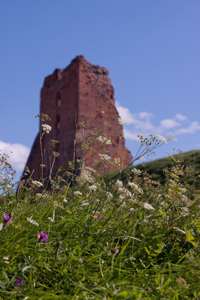 Nowogródek, ruiny zamku