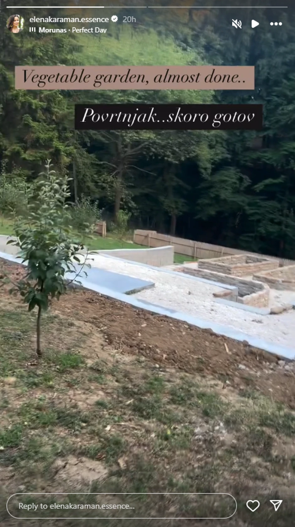 Elena Karić, objava