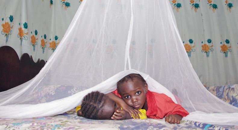 Children under a mosquito net, one of the preventative measures against malaria (Net photo)