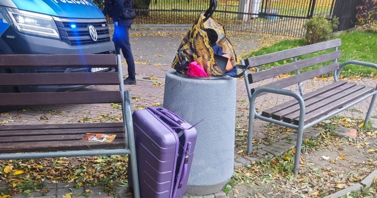 Niewiarygodne, co spotkało Szwajcarkę w Rzeszowie. Oj, nie będzie miło wspominać Polski