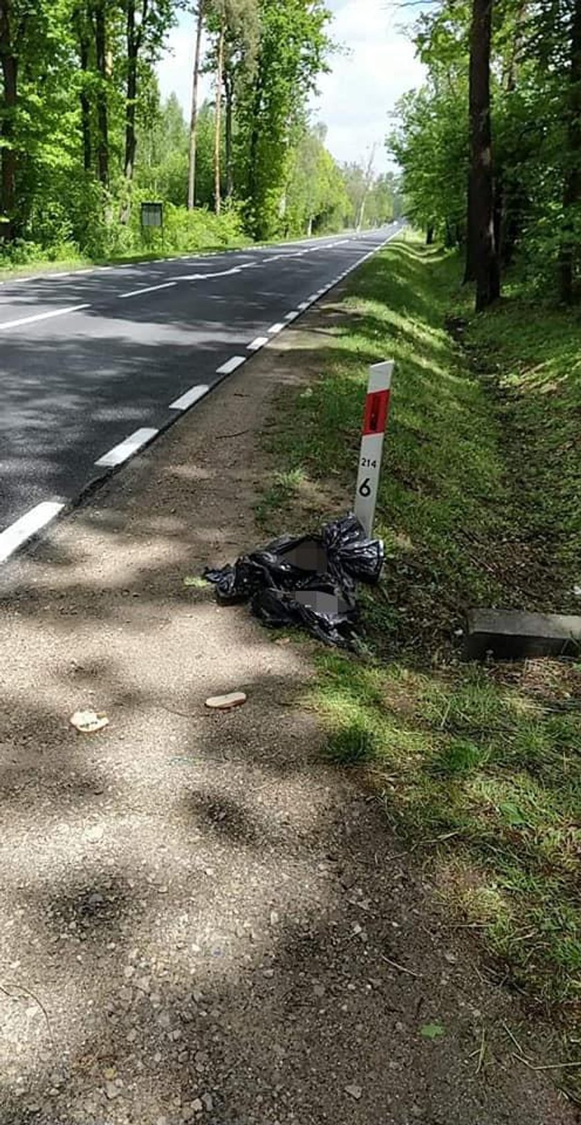 Tarnobrzeg. Czarny worek leżał na poboczu. Zajrzała do środka i aż ją zmroziło