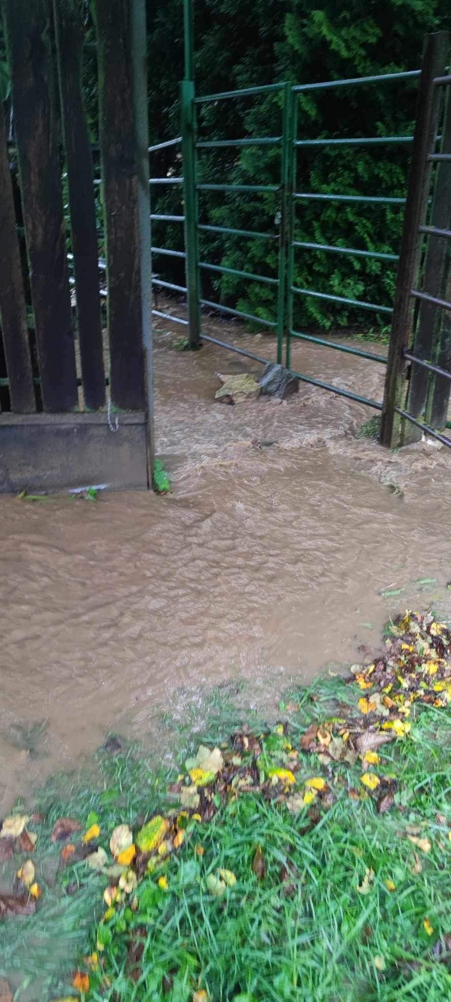 Búrka spôsobila v košickej zoo spúšť.