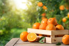 Voće i povrće koje ima VIŠE VITAMINA C od pomorandže: 12 šampiona za očuvanje zdravlja i bildovanje imunog sistema