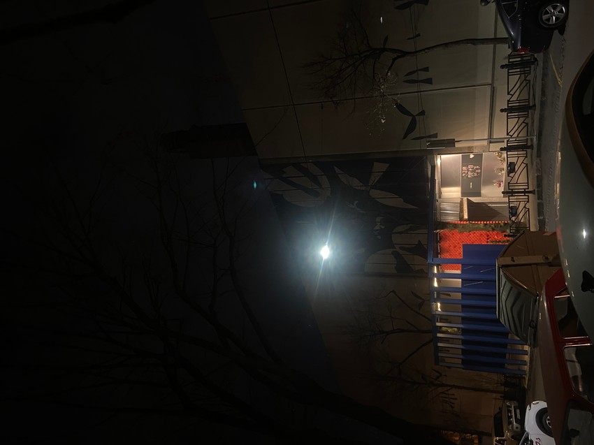 OŠ Vladislav Ribnikar