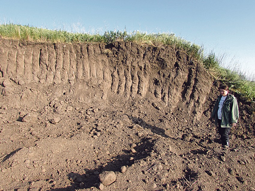 Simbol Kikinde i arheološki lokalitet: Kinđa