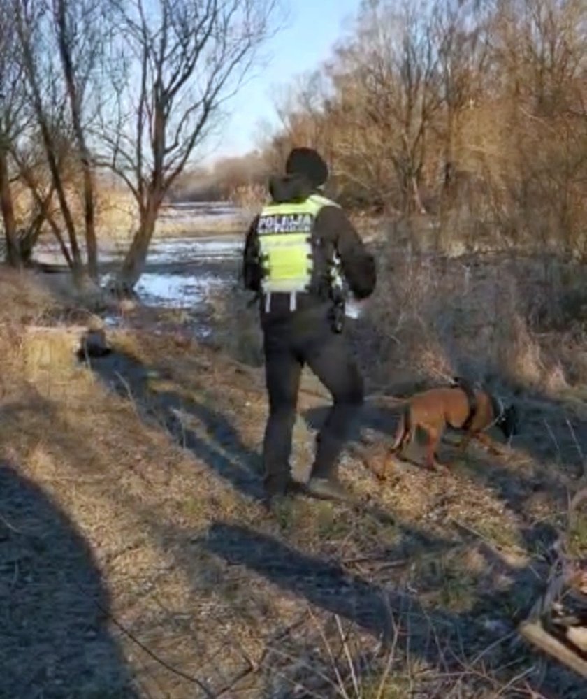 Kilkudziesięciu policjantów, dron, psy tropiące. To kolejny dzień poszukiwań Radosława Kolasińskiego z Płocka po zabójstwie trójki chłopców 