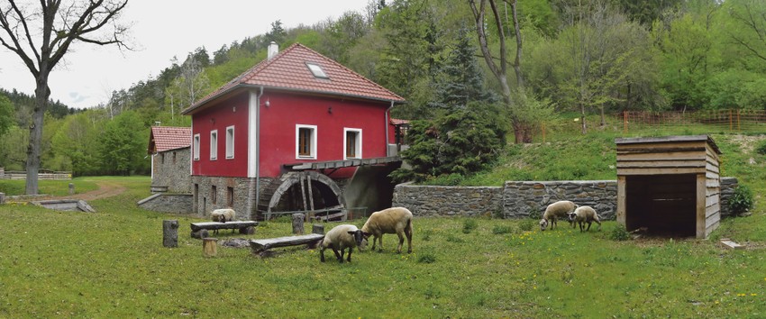 Popularni vojvođanski salaši