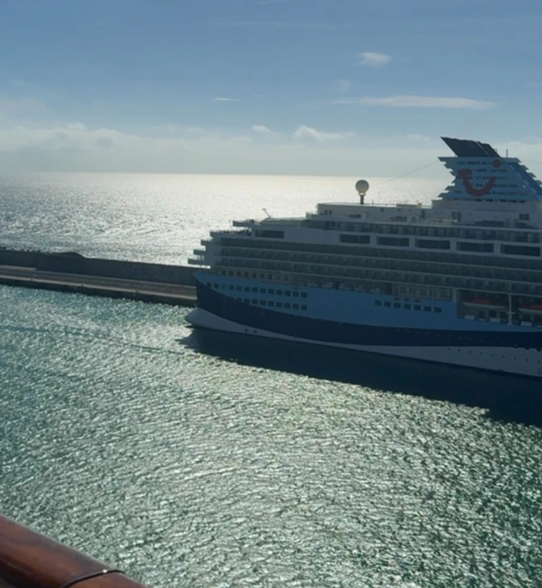 Sanja Marinković, objava