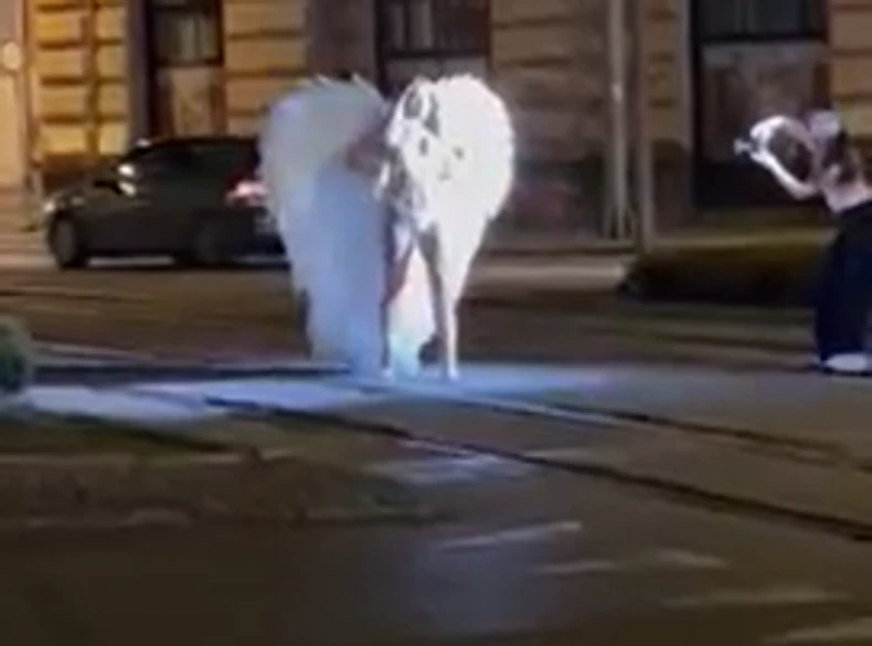 Teodora Džehverović šeta Beogradom u gaćama i brusu