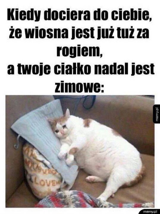 Najlepsze memy o wiośnie