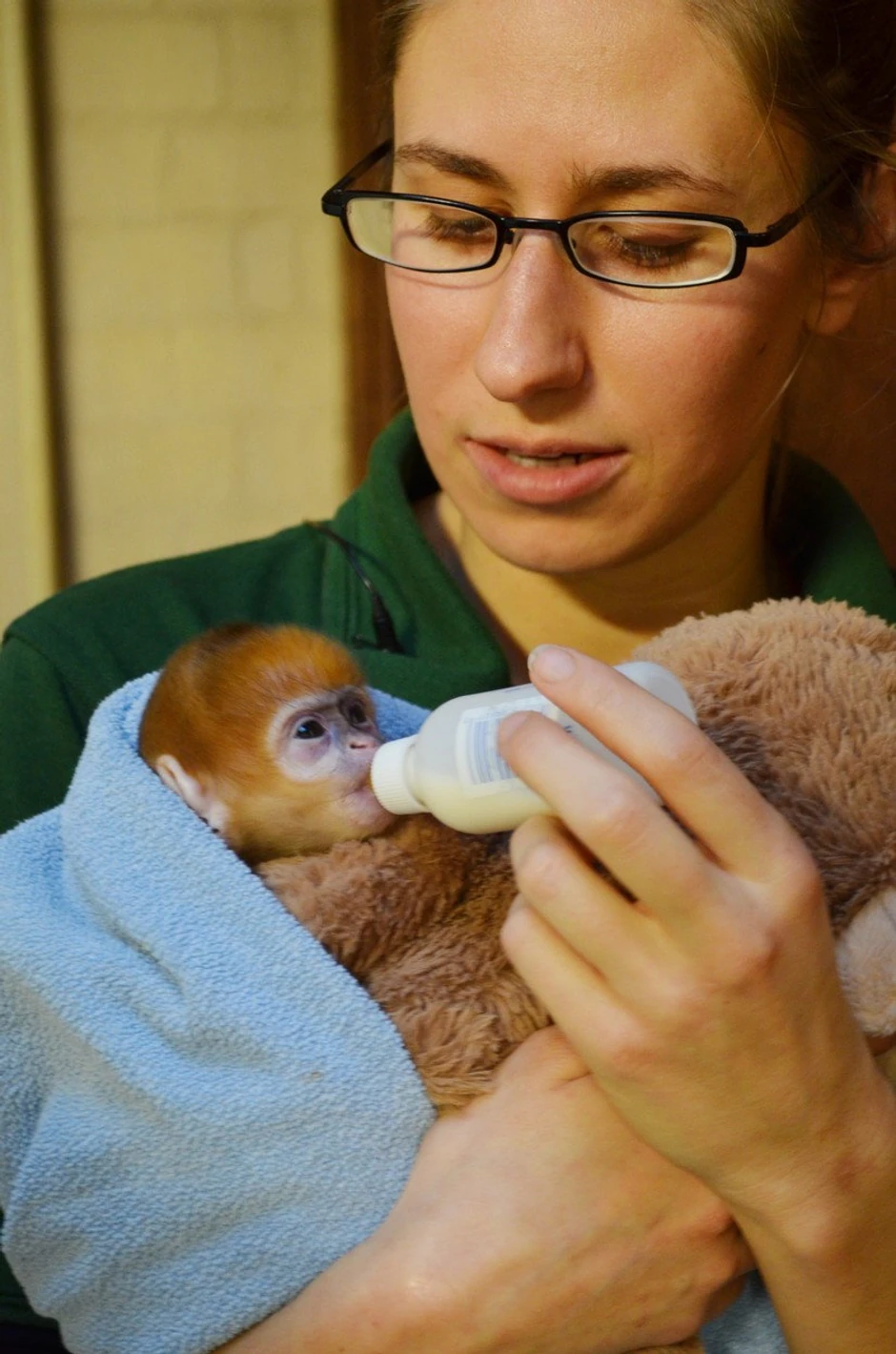 Napadnuta Kejt Sanders