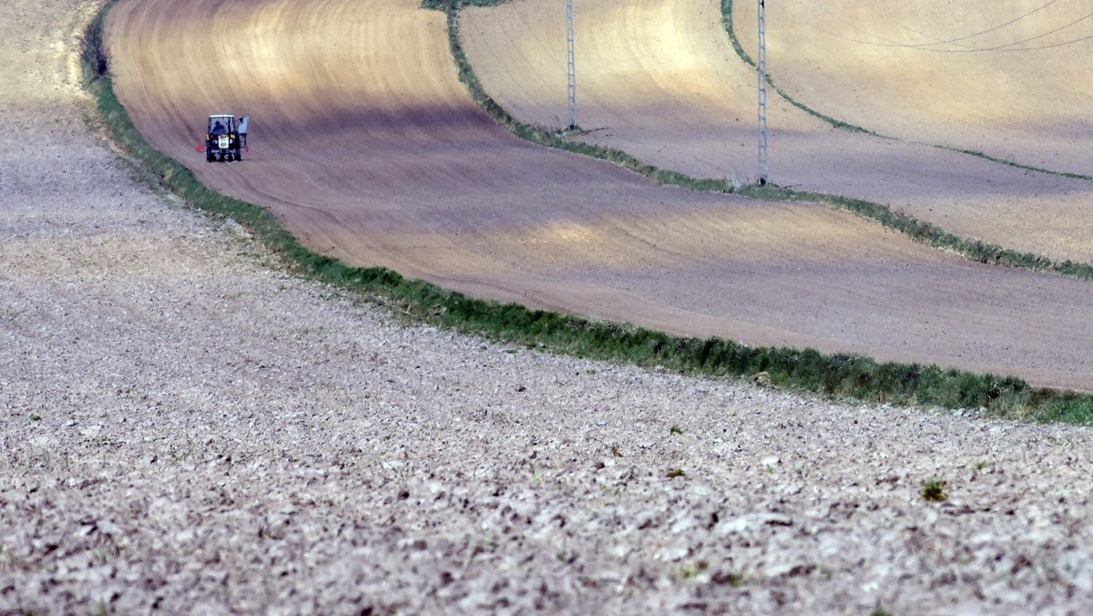 Fot. Marek Lasyk/Reporter