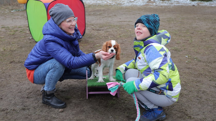 Suczka Abi uczy się być dogoterapeutką