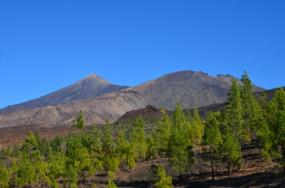 Teneryfa. Park Narodowy Teide. 