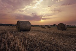 UE nie odpuści polskiej ziemi. Restrykcje w obrocie gruntami sprzeczne z europejskim prawem?