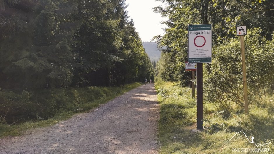 Droga leśna prowadząca do pierwszego skrzyżowania szlaków