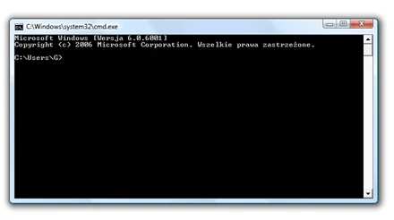 Wiersz poleceń