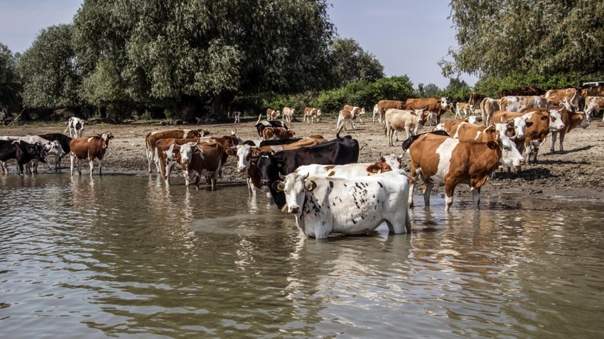 Klima u Srbiji sve više postaje suva mediteranska