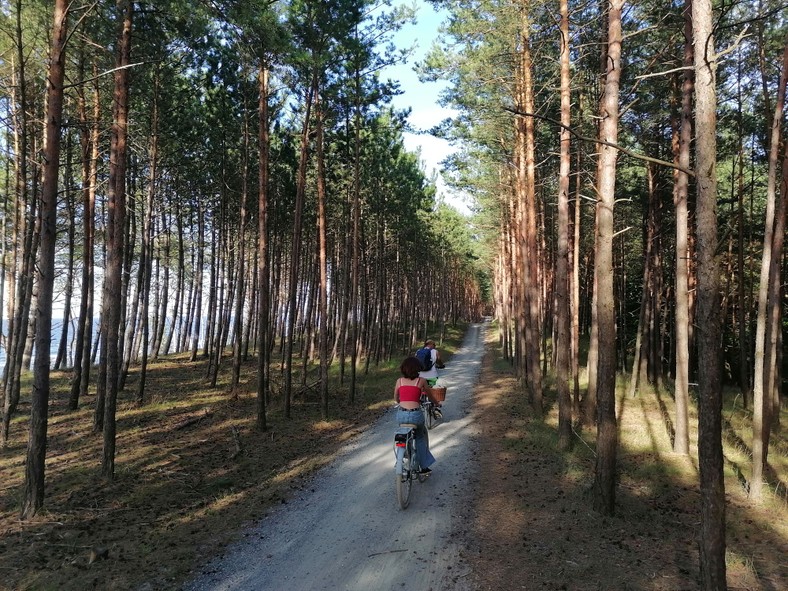 Krynica Morska oraz jej okolice. Ścieżki i trasy rowerowe