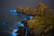 Blue Tears Bioluminescent algae Noctiluca Scintillans