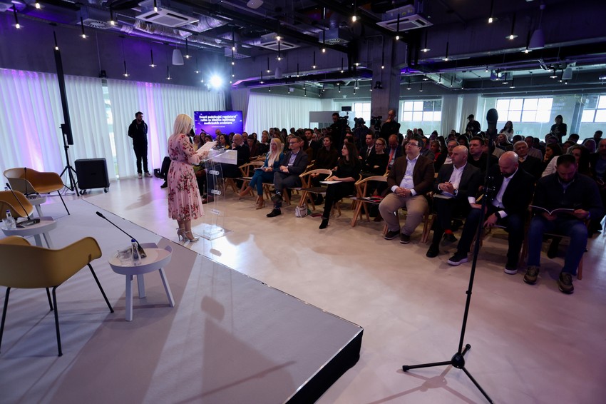 Siva knjiga inovacija