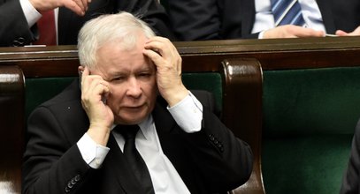 Partyjne doły PiS szczerze o kampanii. "Dużo działaczy się wycofało"