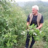 Niko neće na njivu za 5.000 dinara dnevno