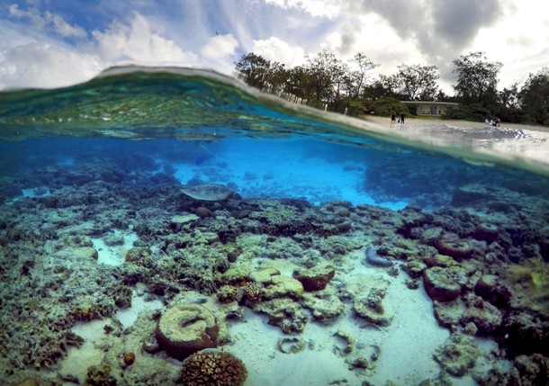 AUSTRALIA-REEF/WIDERIMAGE