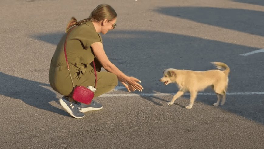 Błąkała się na stacji. W końcu uśmiechnęło się do niej szczęście