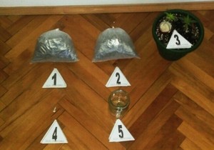 Droga, marihuana, zaplena u Beogradu