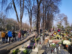 Słońce, deszcz czy śnieg? Jaka pogoda będzie na Wszystkich Świętych? [PROGNOZA DŁUGOTERMINOWA]