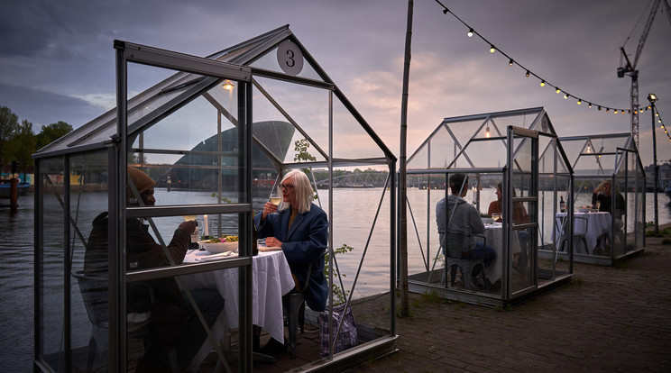 Amszterdam újranyitott étterem / Fotó: Northfoto