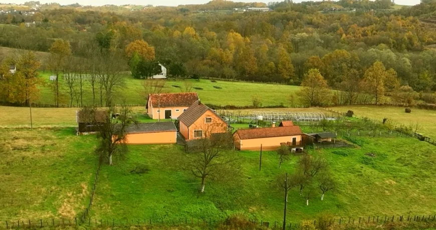 Mile Kitić (Foto: Screenshot TV Blic)