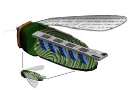 Muchy w tajnej służbie Pentagonu