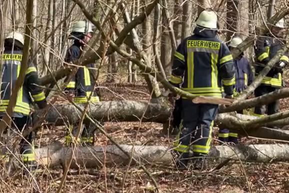 (VIDEO) POGINULE MAJKA, BEBA I DEVOJČICA Tragedija na USKRŠNJE jutro: Drvo palo na njih dok su tražile uskršnja jaja